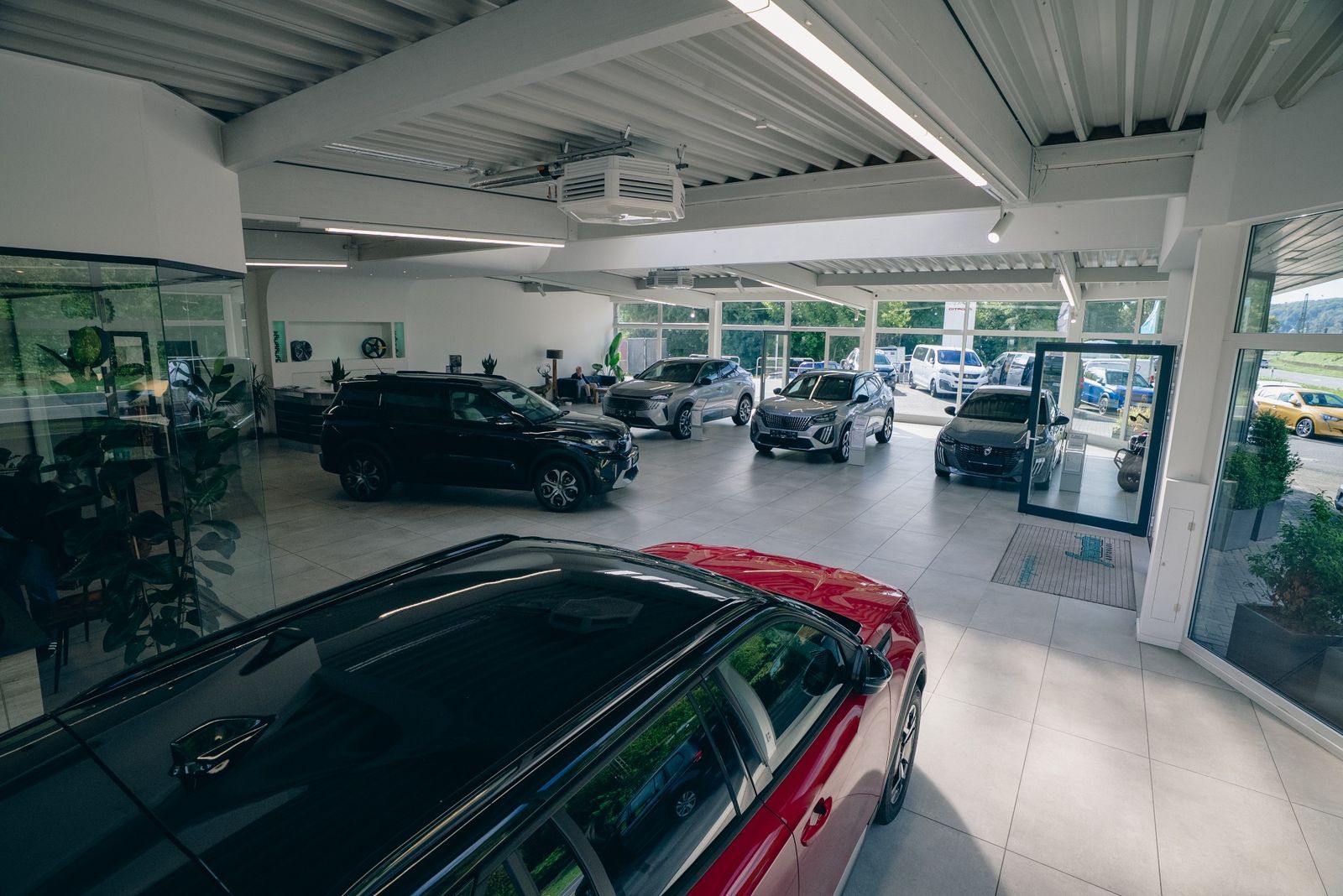 Blick in die helle Ausstellungshalle des Autohaus Frensch mit Peugeot- und Citroën-Fahrzeugen